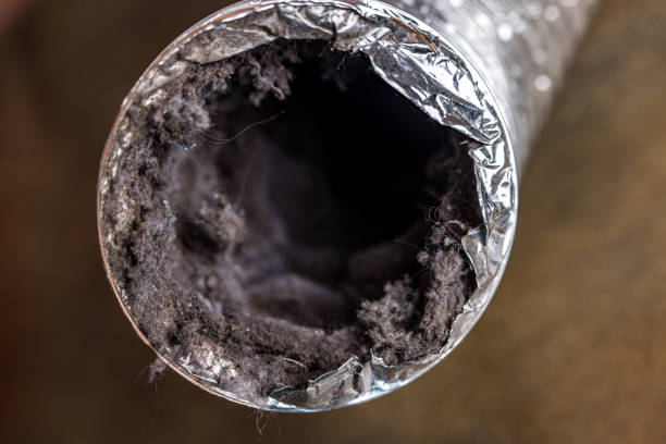Best Residential Air Duct Cleaning  in Gatesville, TX